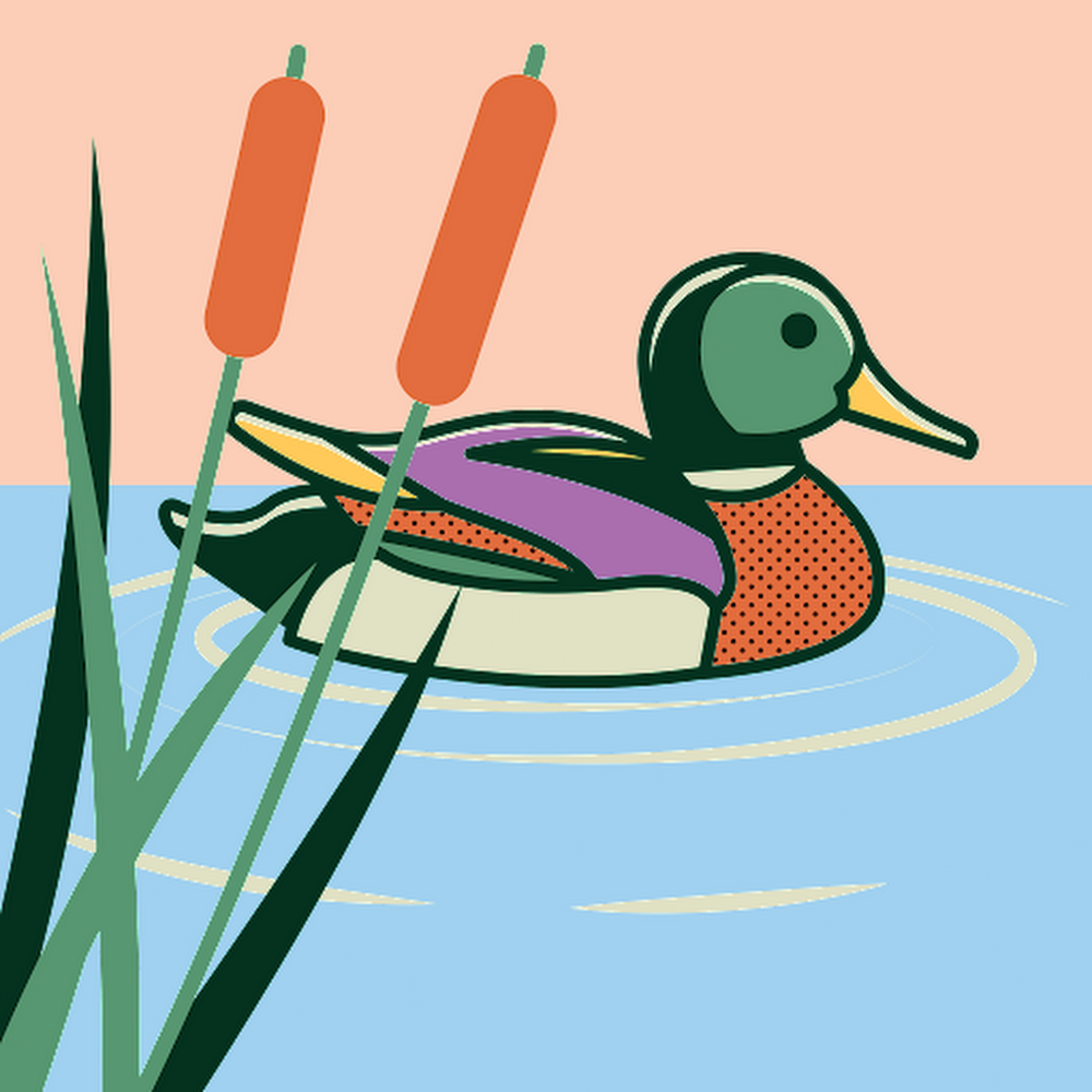 Duc Huynh Van's profile picture