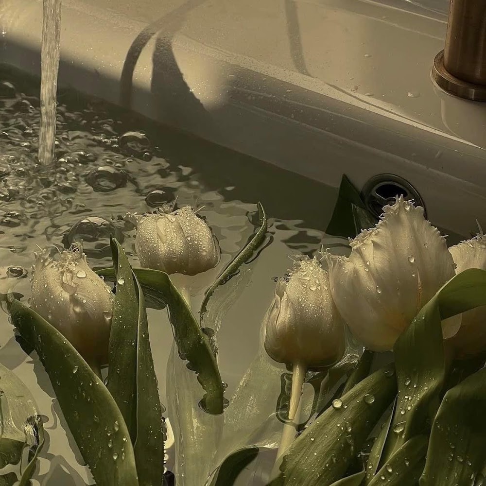 Minh Long Vo's profile picture