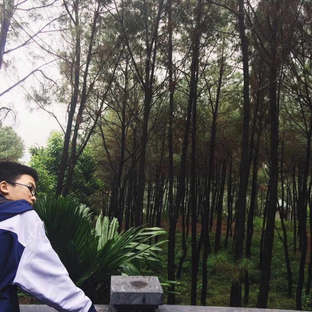 Khangt1k25's profile picture