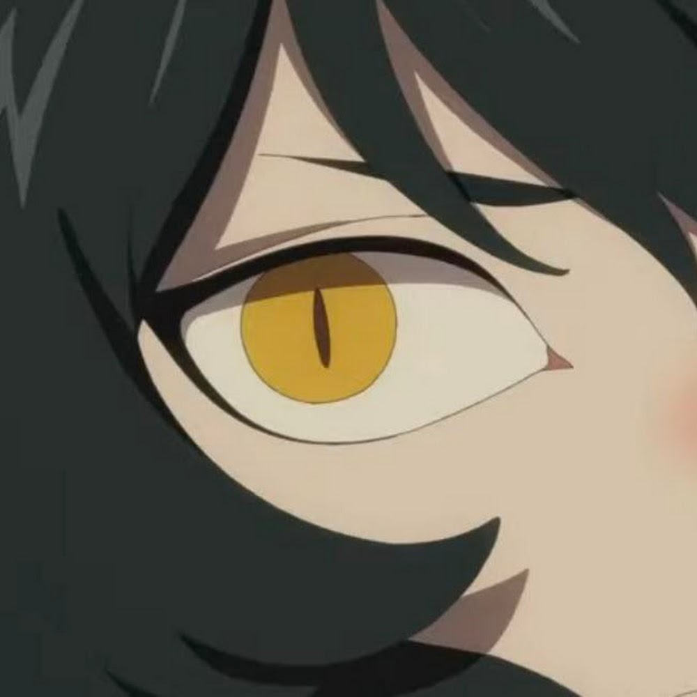 An's profile picture