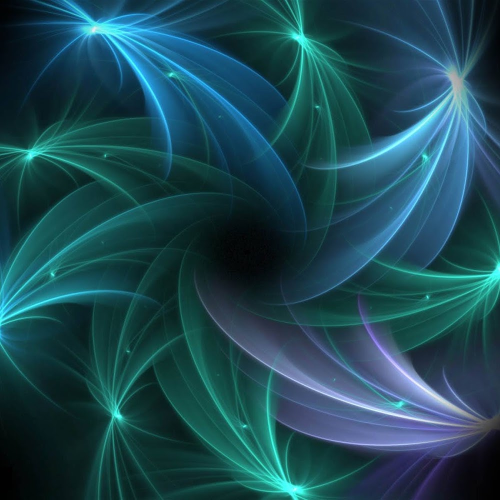 Thang Hoang's profile picture