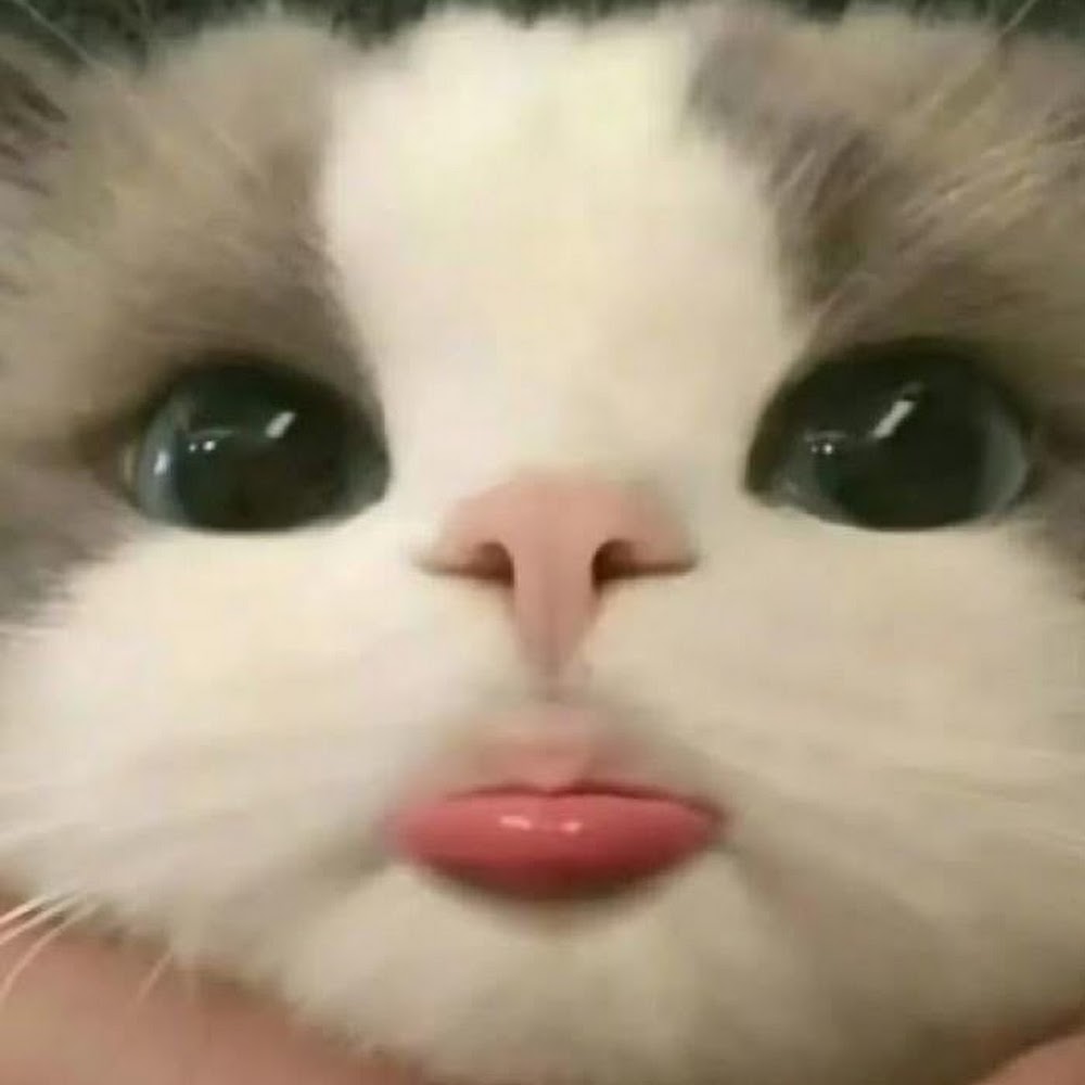 Vittory Nana's profile picture