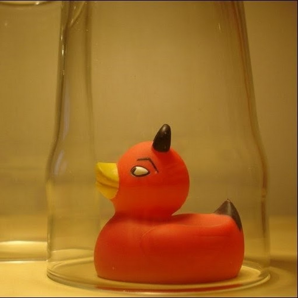 recycleswan profile