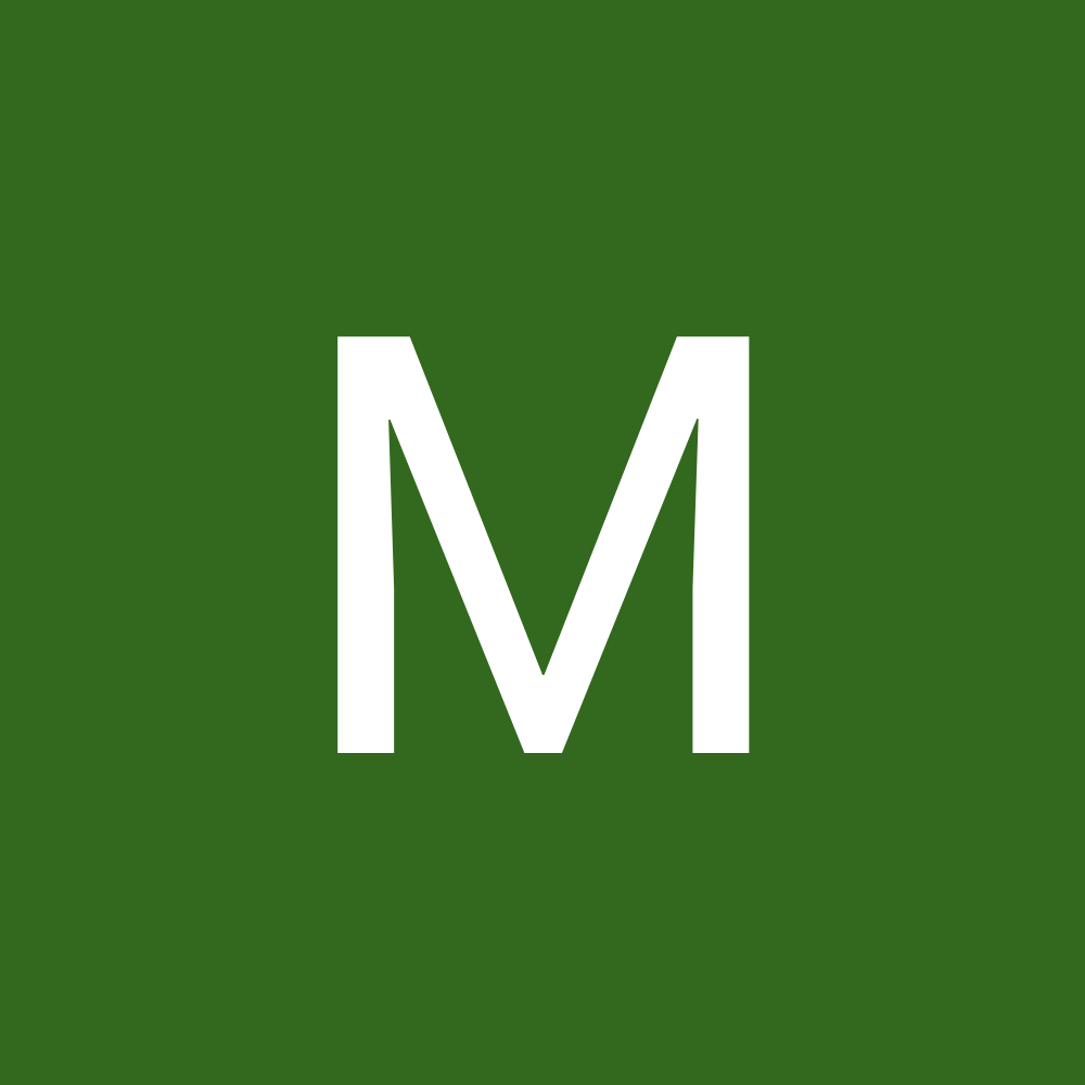 moiso profile