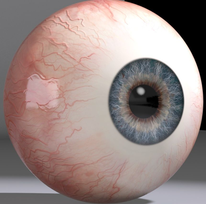 ocular profile